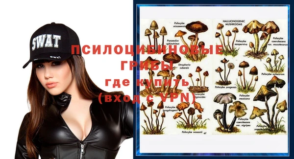 амфетамин Гусь-Хрустальный