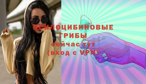 амфетамин Гусь-Хрустальный