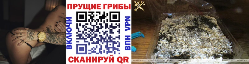 Псилоцибиновые грибы мицелий  Наро-Фоминск 
